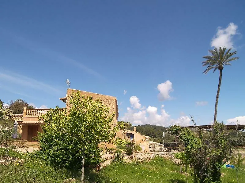 Apartament Agroturisme Es Picot Son Macia  Hiszpania